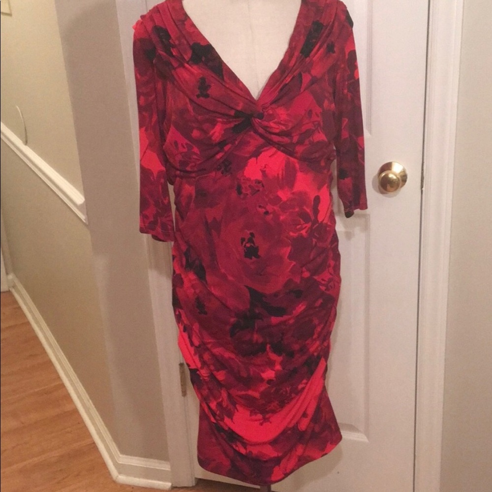 The RED dress!